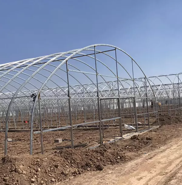 Жылыжай құбырлары